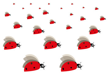 illustration of a ladybug