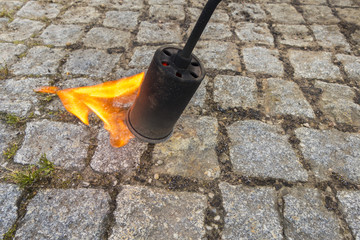 close up of thermal weed control with flame, selective focus