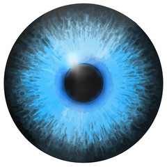 Eye iris vector texture