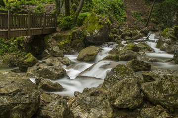 Fototapeta premium L'Alloix - Chartreuse - Isère.
