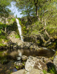 Fototapeta na wymiar Linhope Spout, waterfall. Northumberland, England, Uk. In the early morning sunlight and shadow