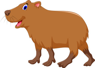 Funny Capybara cartoon