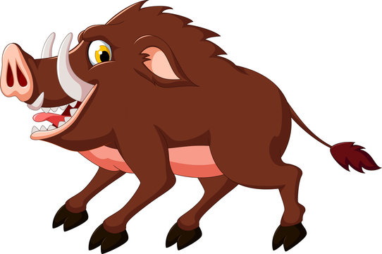 brown cartoon boar with big tusks clip art preview
