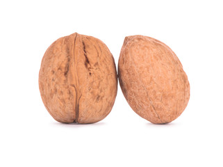 Two walnuts on a white background