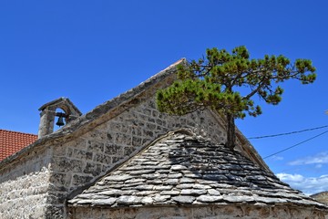 Fototapeta na wymiar Pine tree on the chapel roof