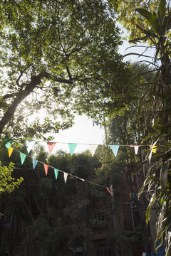 A string of multi colored flags hanging amongst trees in a backyard