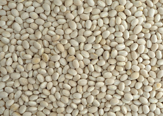 Close view of organic navy beans.