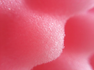 close up pink sponge