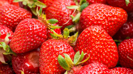 Frisch gepflückte Erdbeeren im Erdbeerkorb