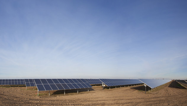 Solar panels in a field
