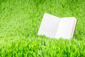 Open ruled paper notebook on green grass field,Eco Business conc