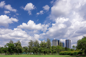 Fototapeta na wymiar Central park with green grass