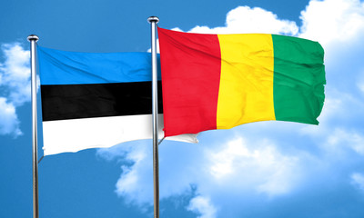 estonia flag with Guinea flag, 3D rendering