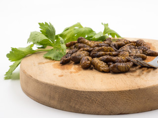 Fried insects. Protein rich food.