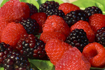 Berry close-up