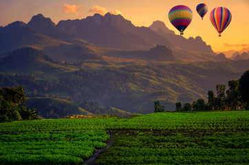 Naklejka premium Colorful balloons