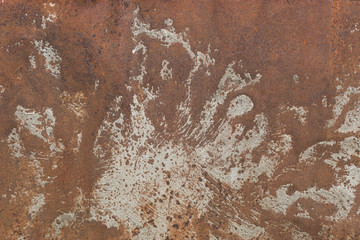 rusty metal leaf for for text or image textured background