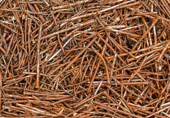 Old Used Nails