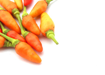 Red Chilli Dry isolated on white background