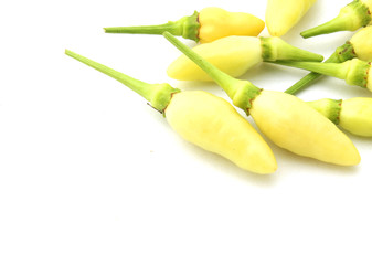 Red Chilli Dry isolated on white background