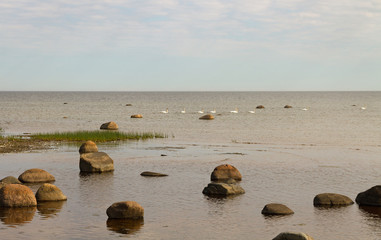 Stone Baltic sea.