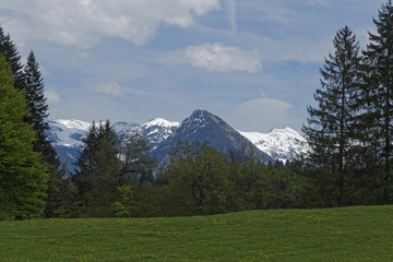 Fototapeta na wymiar austrian alps: Kleinwalsertal