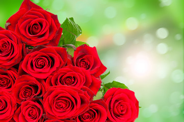 Bouquet of roses on green background