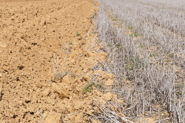 Ploughed and stubble fields in an agricultural landscape in Guadalajara Province, Spain