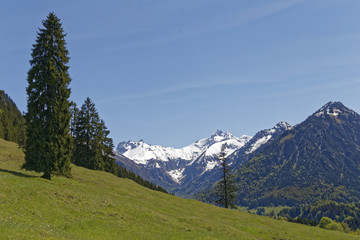 Fototapeta na wymiar austrian alp: Kleinwalsertal