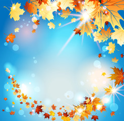 Autumn leaves on blue sky