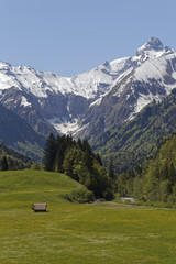 Fototapeta na wymiar meadow with snow covered austrian alps: Kleinwalsertal