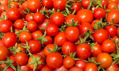 fresh tomatoes