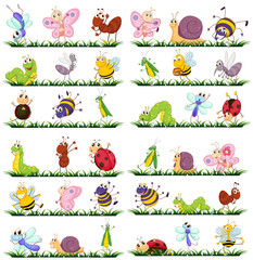 Different kind of insects on grass