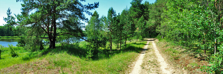 Fototapeta na wymiar Forest road along the blue lake. Panoramic image. 