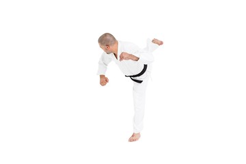 Fighter performing karate stance