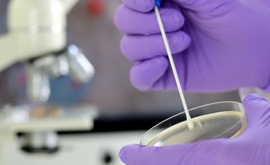 Laborant mit Wattestäbchen Swab