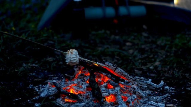 Tourist roast marshmallows over the campfire.