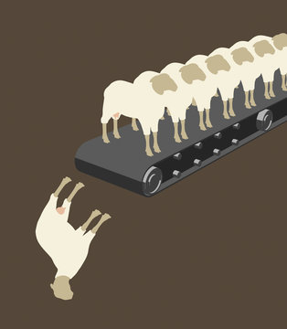 A row of sheep on a conveyor belt