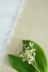 Lily of the valley on wooden background
