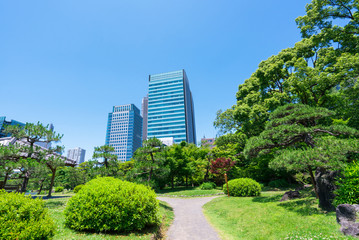 Fototapeta premium 浜離宮恩賜庭園 高層ビル 新緑