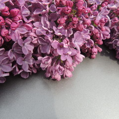 Fototapeta na wymiar цветы сирени на светлом фоне крупным планом 