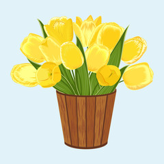 Yellow tulips