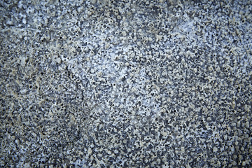 soil salt crystals,
