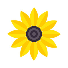 yellow flower vector isolated