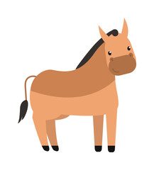 Stallion horse vector illustration.