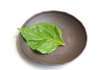 盛り付け用、大葉の葉