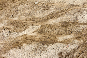 Dried trail from the Creek on the mud after rain