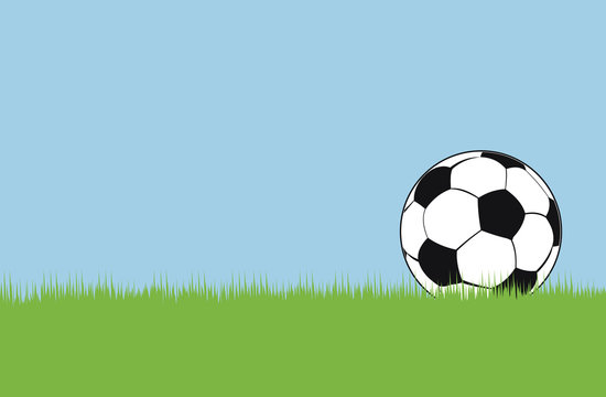 Soccer ball on green grass. Vector illustration.