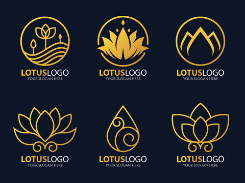 Gold Line Lotus Logo Vector Art Set Design