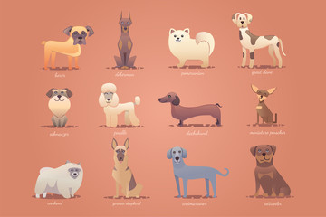 Set of german dogs , cute cartoon illustration vector format